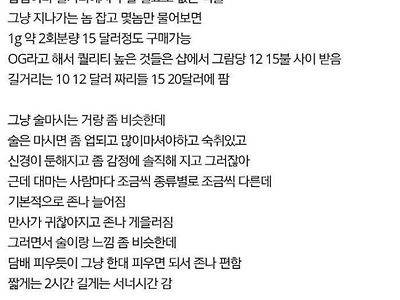 실제로 마약해본 경험담 ㅎㄷㄷ