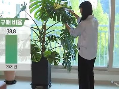 과장이 없는 식물묘사