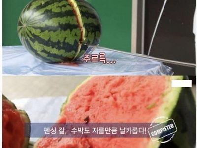 은근히 평가절하 당하는 칼