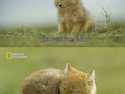 현재 학생/직장인들  상황