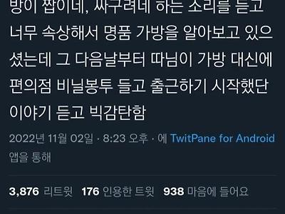 명품빽 안들고 다닌다고 조롱을 받은처자