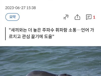 엄마 여기 있져_…돌고래도 새끼에게 '아기 말투' 쓴다