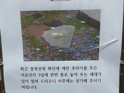 계란 후라이 빌런