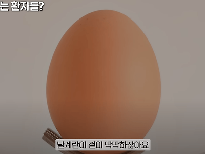 ㅇㅎ)ㅂㅈ안에 계란이 들어갔을 때 해결법