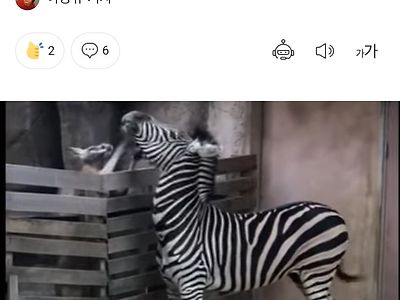 저번에 가출한 친구 알고보니 학교폭력 이슈도ㅜ