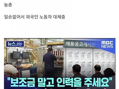 디씨인이 말하는 하위직업