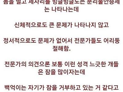 불면증 있는 개의 진실