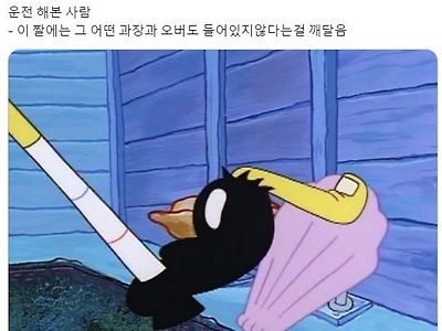 관점에 따라 달라보이는 짤