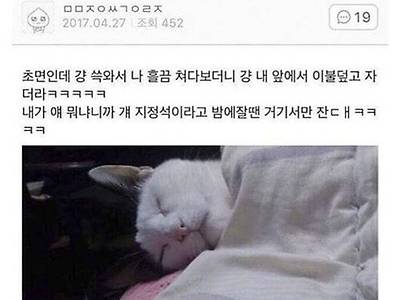 ?? : "조용히 놀다가라 인간"