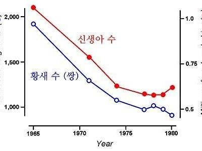 우리나라 출산율 박살난 원인