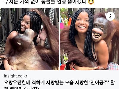 자신과 비슷한 사람을 만나 기뻐하는 오랑우탄