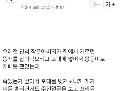 개의 충성심은 죽기직전까지 나옴