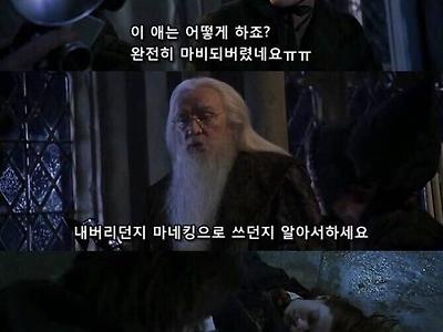 약빨고 만든 해리포터 자막