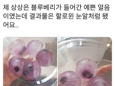 블루베리를 넣은 예쁜 얼음