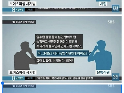 필리핀은 망고가 맛있지