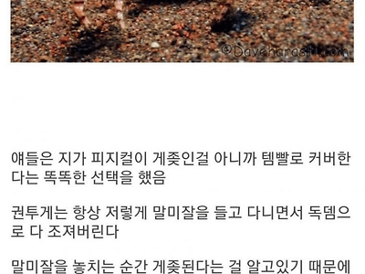 피지컬을 템빨로 커버하는 권투게