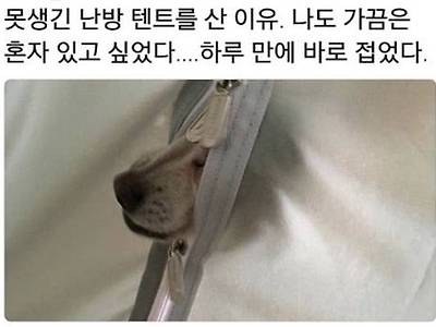 나도 가끔 혼자 있고 싶었다....