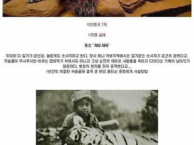 전설로 남은 식인동물 리스트