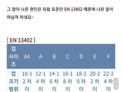 스압) 일본 C컵은 진짜 한국 C컵보다 작을까?