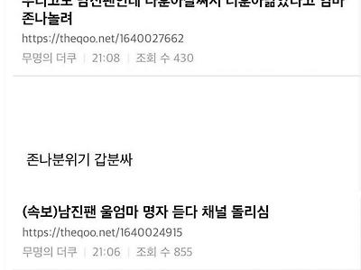 자기 아이돌 아니라고하는 타돌 팬들..