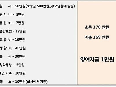 월급170 받는 직장인 가계부