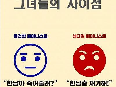 온건파 페미 vs 급진파 페미