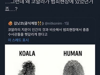 범죄현장에 헷갈리는 지문