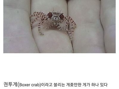 피지컬이 딸려서 템빨로 버티는 게임 추천좀