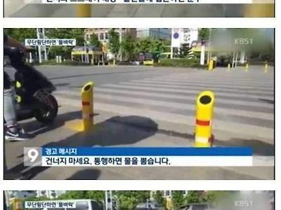 획기적인 무단횡단 방지 방법 .JPG