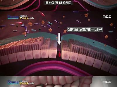 우리가 은근 많이 겪고 있는 증상.jpg