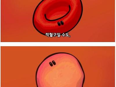 시야에 보이는 이물질의 정체는?