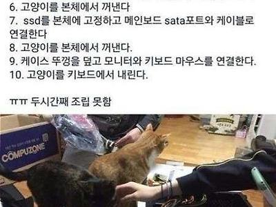 고양이 키우는 집의 컴퓨터 조립기