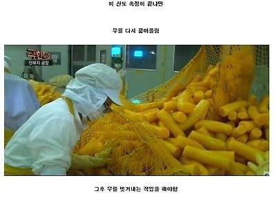 평균 연봉 3500만원 단무지 공장의 하루