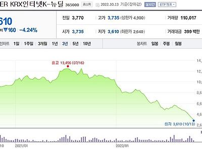 1년에 66%폭락한 뉴딜 ETF (feat.카카오)