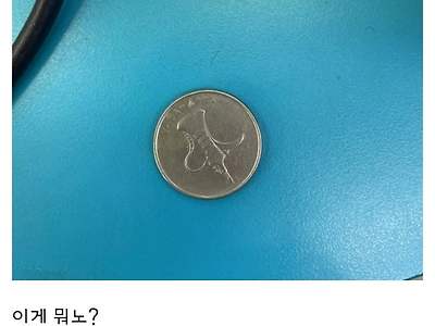 뜻밖에 횡재