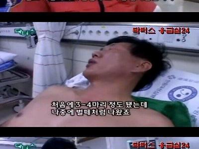 말벌에 쏘여서 응급실에 온 환자의 드립.jpg