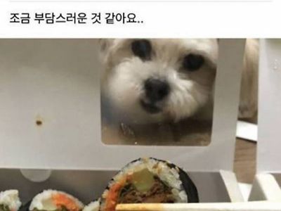 너도 먹고싶니?