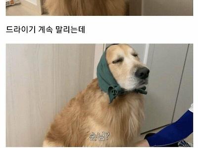 골댕이 건조시키는 방법