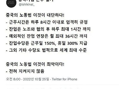 중국 기업 근무 후기