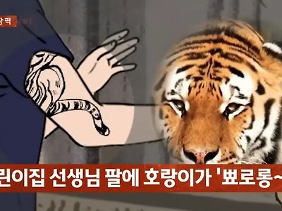 요즘 어린이집 선생님