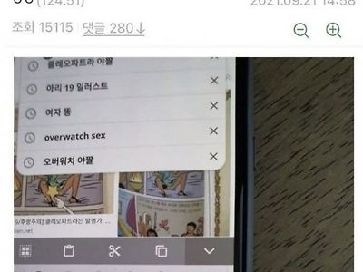 잼민이 폰 검색기록