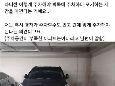 남편과 주차문제로 싸운 여자