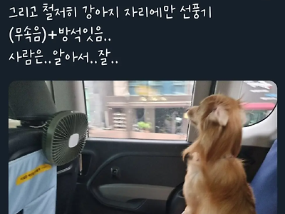 손님한테 불친절하게 응대하는 카카오 택시