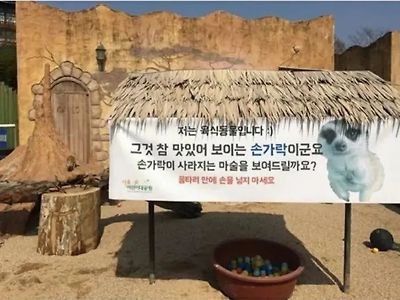 섬뜩해서 바뀐 미어캣 경고문
