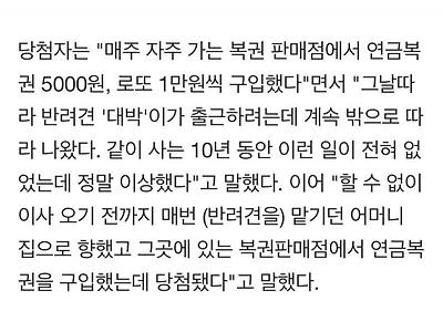 반려견때문에 연금복권 1등+2등 당첨된 사람