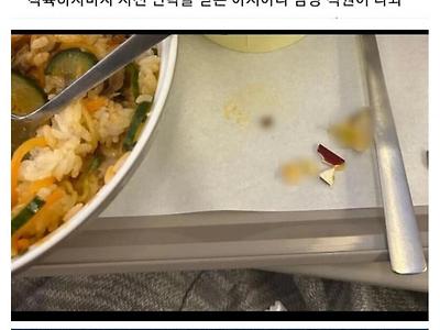 아시아나에서 기내식 먹다가 치아 3개 부러진 사람