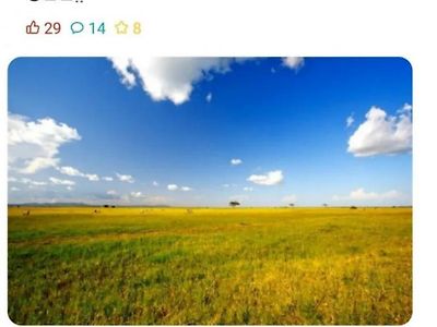 사자의 위장능력ㄷㄷ