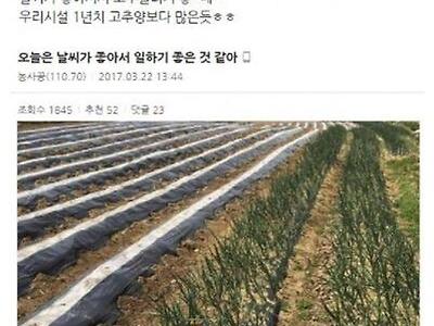 전설의 농사 공익