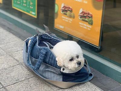 형아 아직이야?