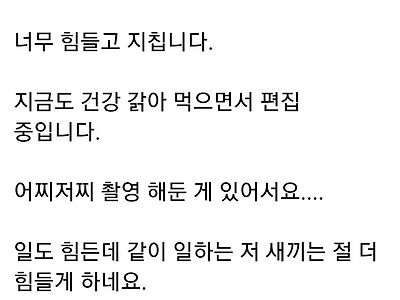 유투브가 힘들다는 유명 유투버